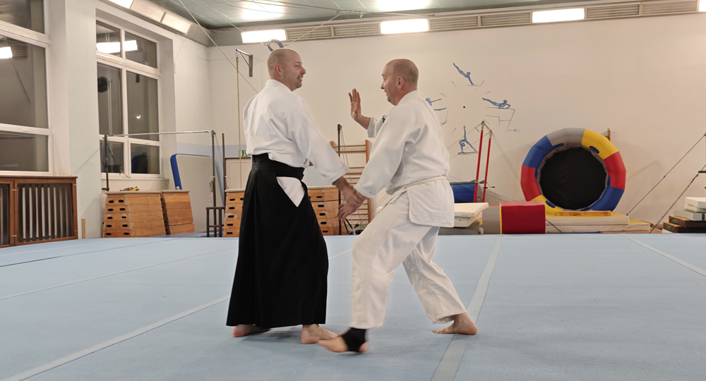 Tr�nink aikido v D���n�