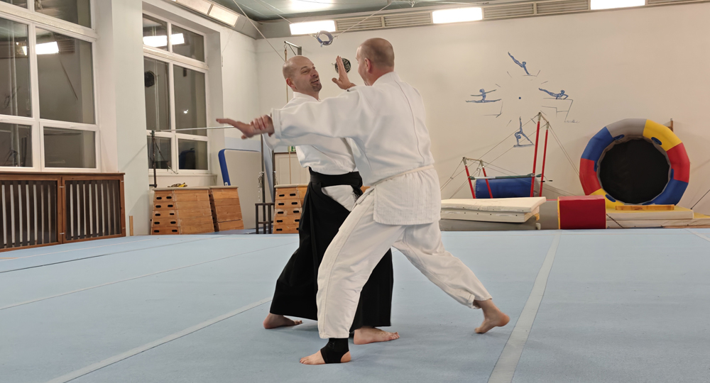 Tr�nink aikido v D���n�