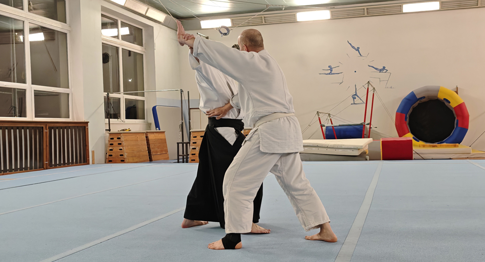 Tr�nink aikido v D���n�